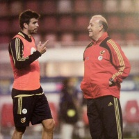 Заявление Висенте дель Боске